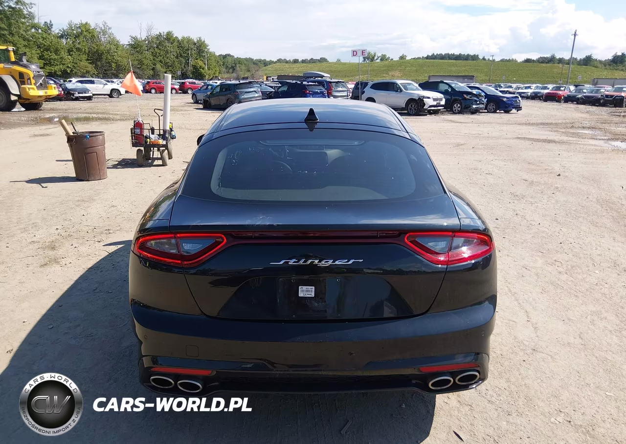 2020 Kia Stinger Gt-Line VIN:KNAE15LA9L6080398 - 16