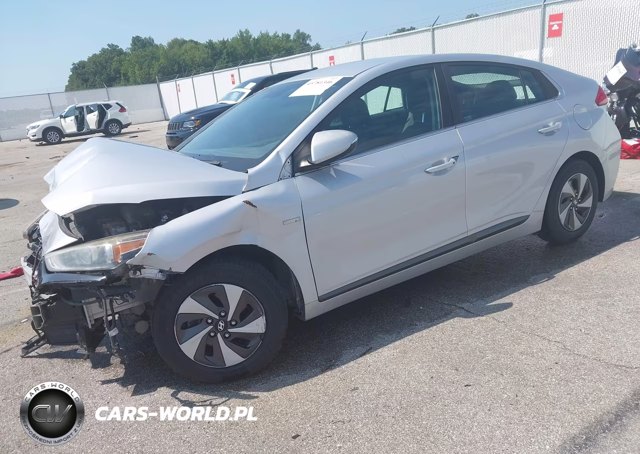 2018 Hyundai Ioniq Hybrid Sel VIN:KMHC75LC8JU067995 - 2