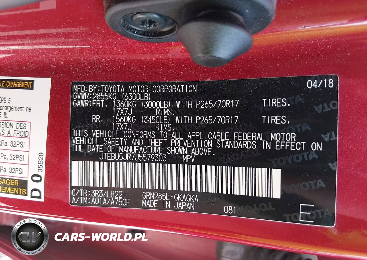 2018 Toyota 4Runner Sr5 Premium VIN:JTEBU5JR7J5579303 - 9