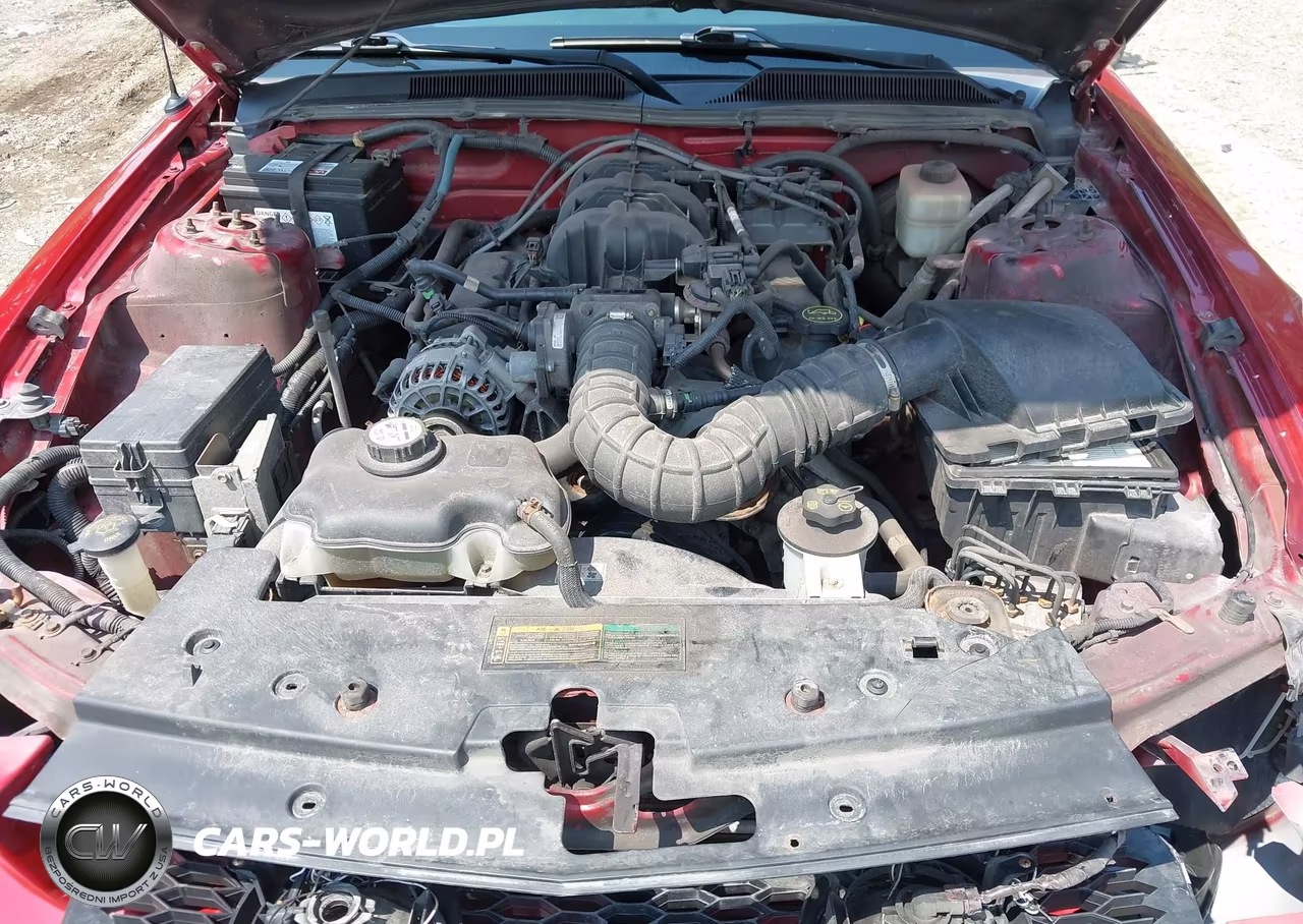 2008 Ford Mustang V6 Deluxe-V6 Premium VIN:1ZVHT80N185117120 - 10