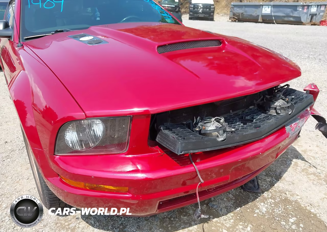 2008 Ford Mustang V6 Deluxe-V6 Premium VIN:1ZVHT80N185117120 - 15