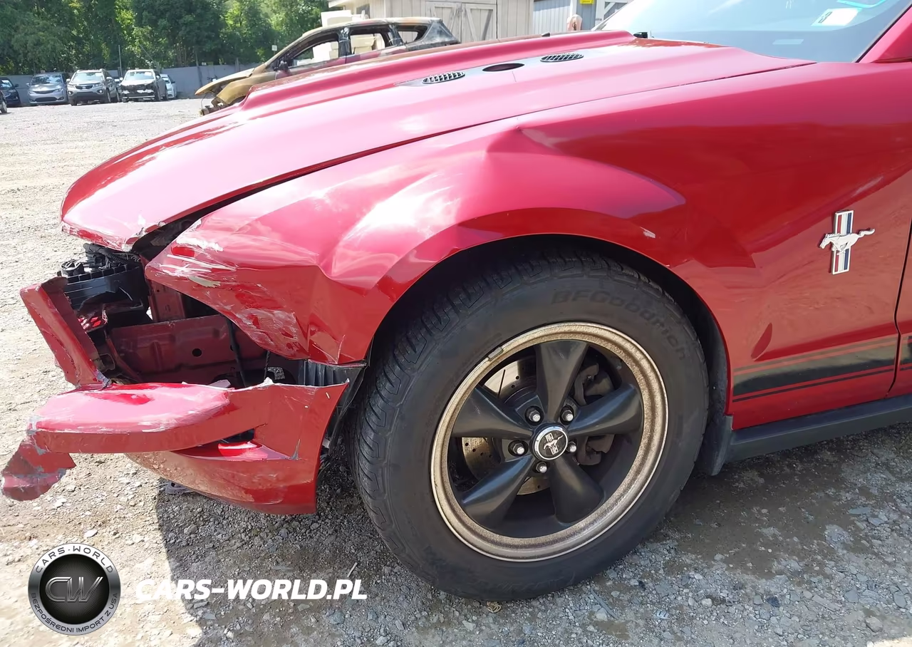 2008 Ford Mustang V6 Deluxe-V6 Premium VIN:1ZVHT80N185117120 - 6