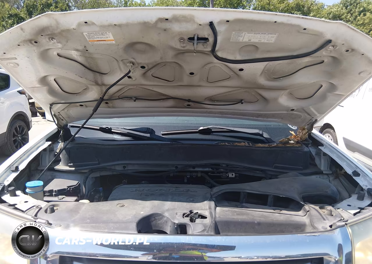 2009 Honda Pilot Ex-L VIN:5FNYF38519B017505 - 10