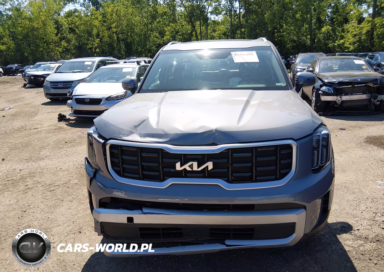 2024 Kia Telluride S VIN:5XYP6DGC3RG490526 - 12