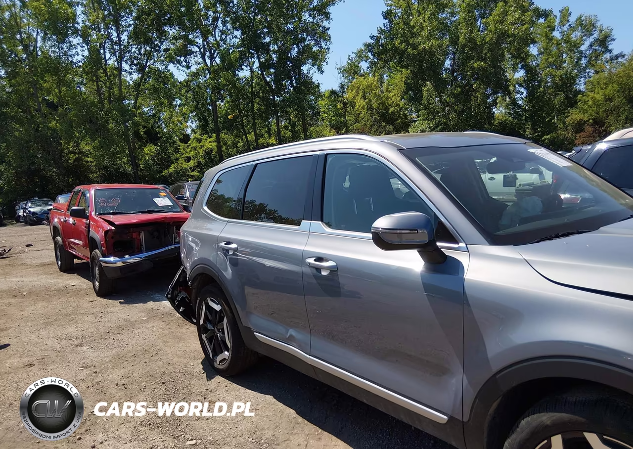 2024 Kia Telluride S VIN:5XYP6DGC3RG490526 - 13
