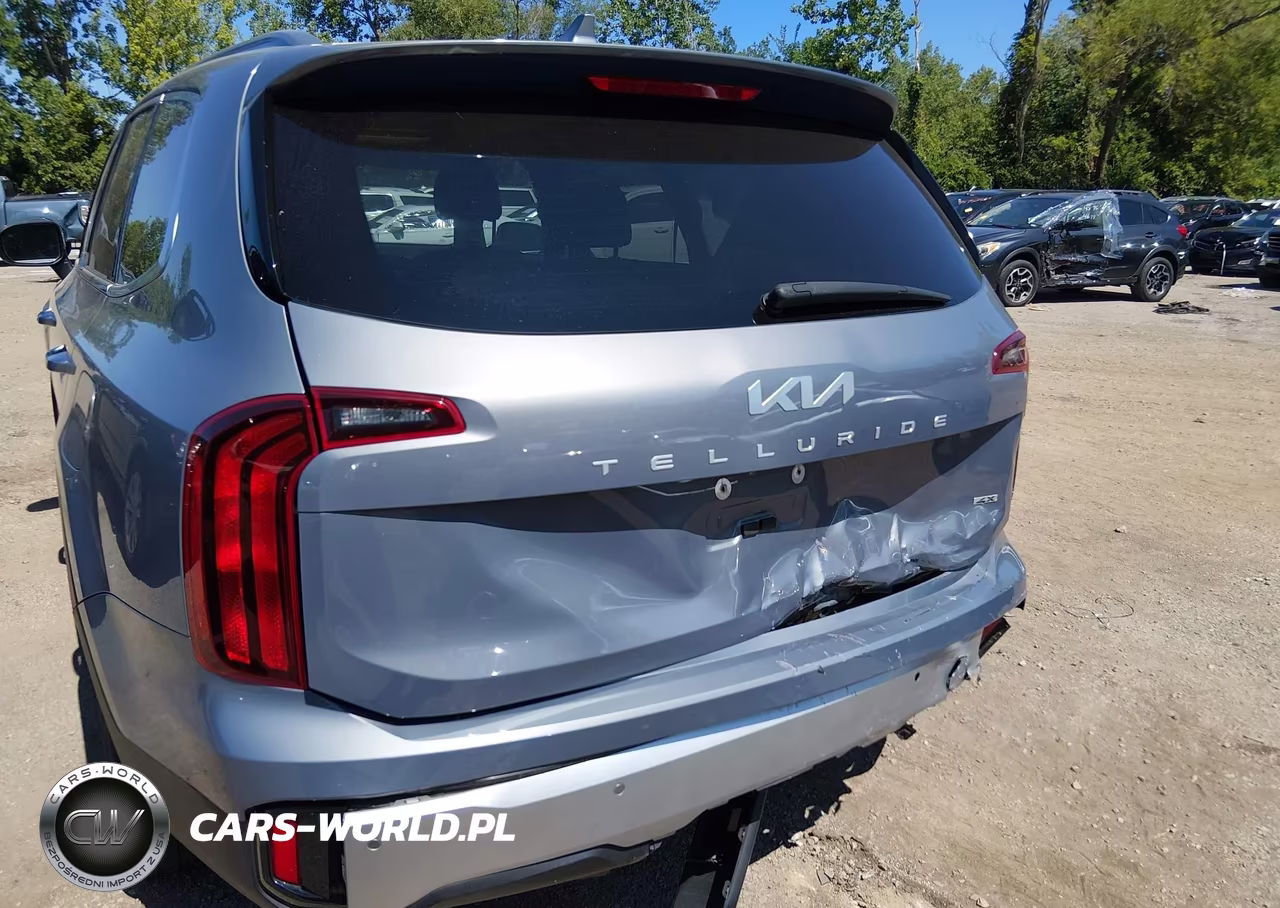 2024 Kia Telluride S VIN:5XYP6DGC3RG490526 - 6