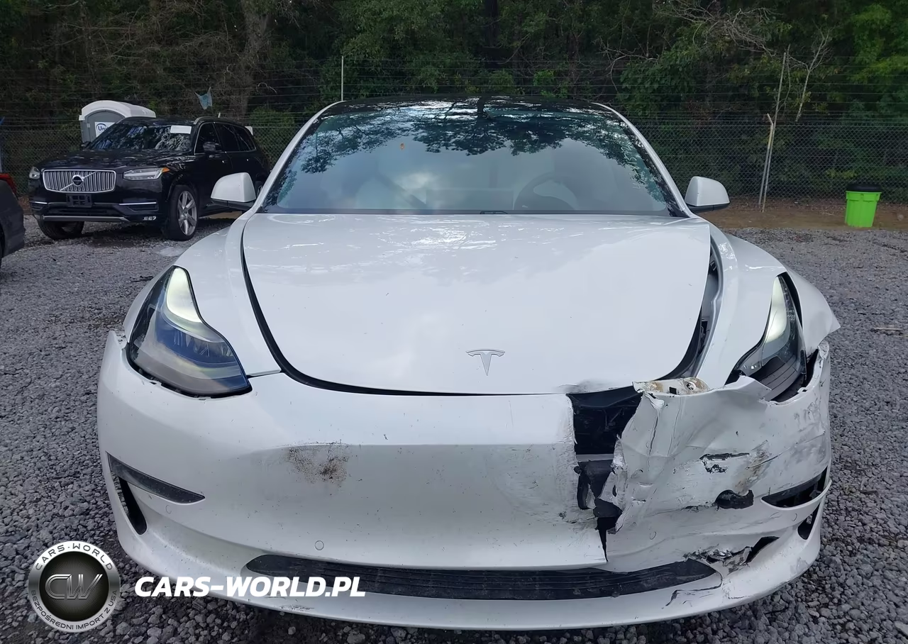 2021 Tesla Model 3 Standard Range Plus Rear-Wheel Drive VIN:5YJ3E1EAXMF870013 - 11