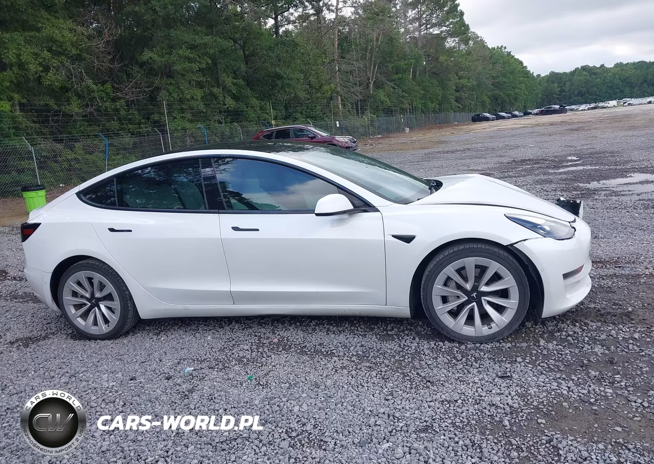 2021 Tesla Model 3 Standard Range Plus Rear-Wheel Drive VIN:5YJ3E1EAXMF870013 - 12