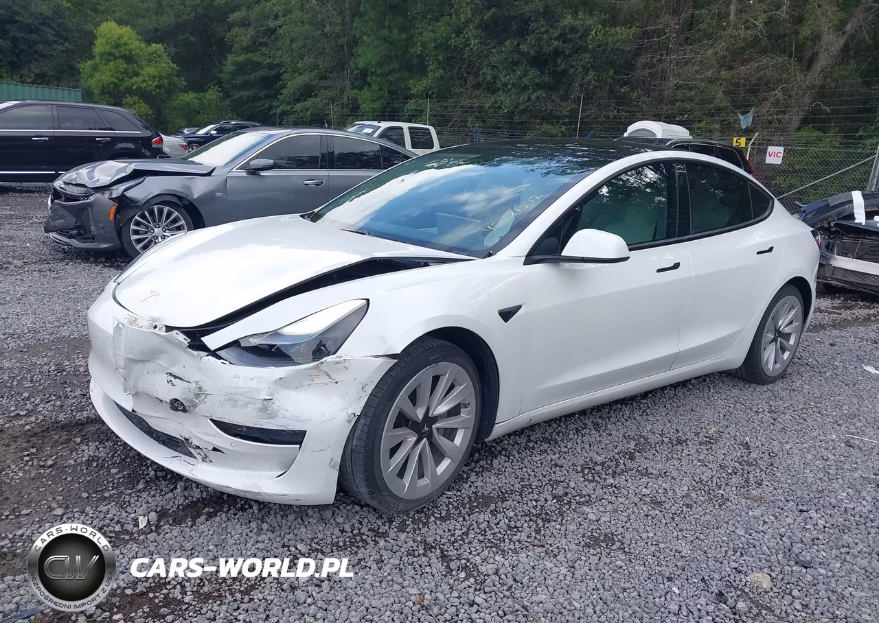 2021 Tesla Model 3 Standard Range Plus Rear-Wheel Drive VIN:5YJ3E1EAXMF870013 - 2