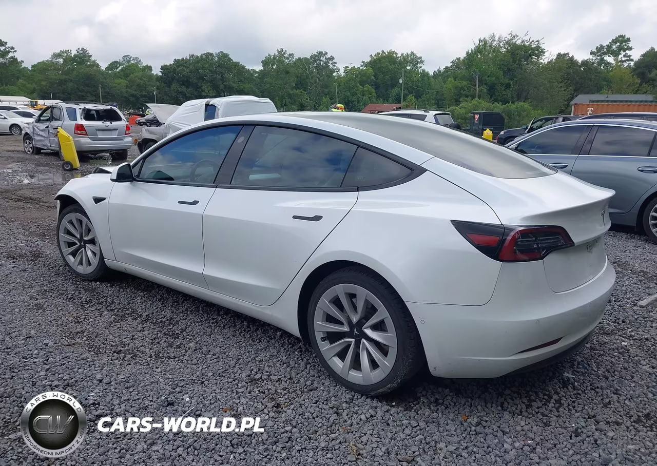 2021 Tesla Model 3 Standard Range Plus Rear-Wheel Drive VIN:5YJ3E1EAXMF870013 - 3
