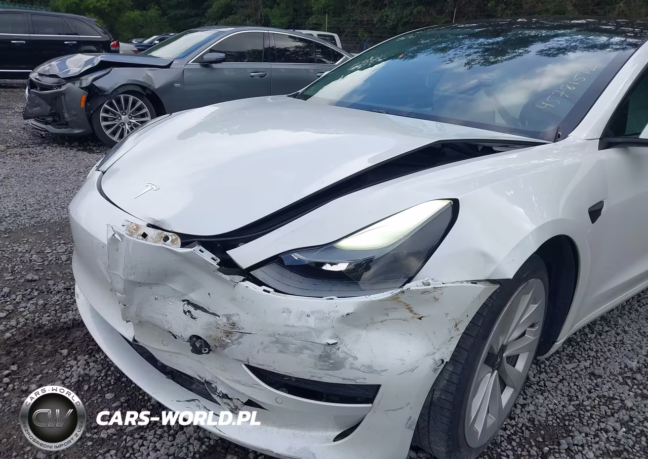 2021 Tesla Model 3 Standard Range Plus Rear-Wheel Drive VIN:5YJ3E1EAXMF870013 - 6
