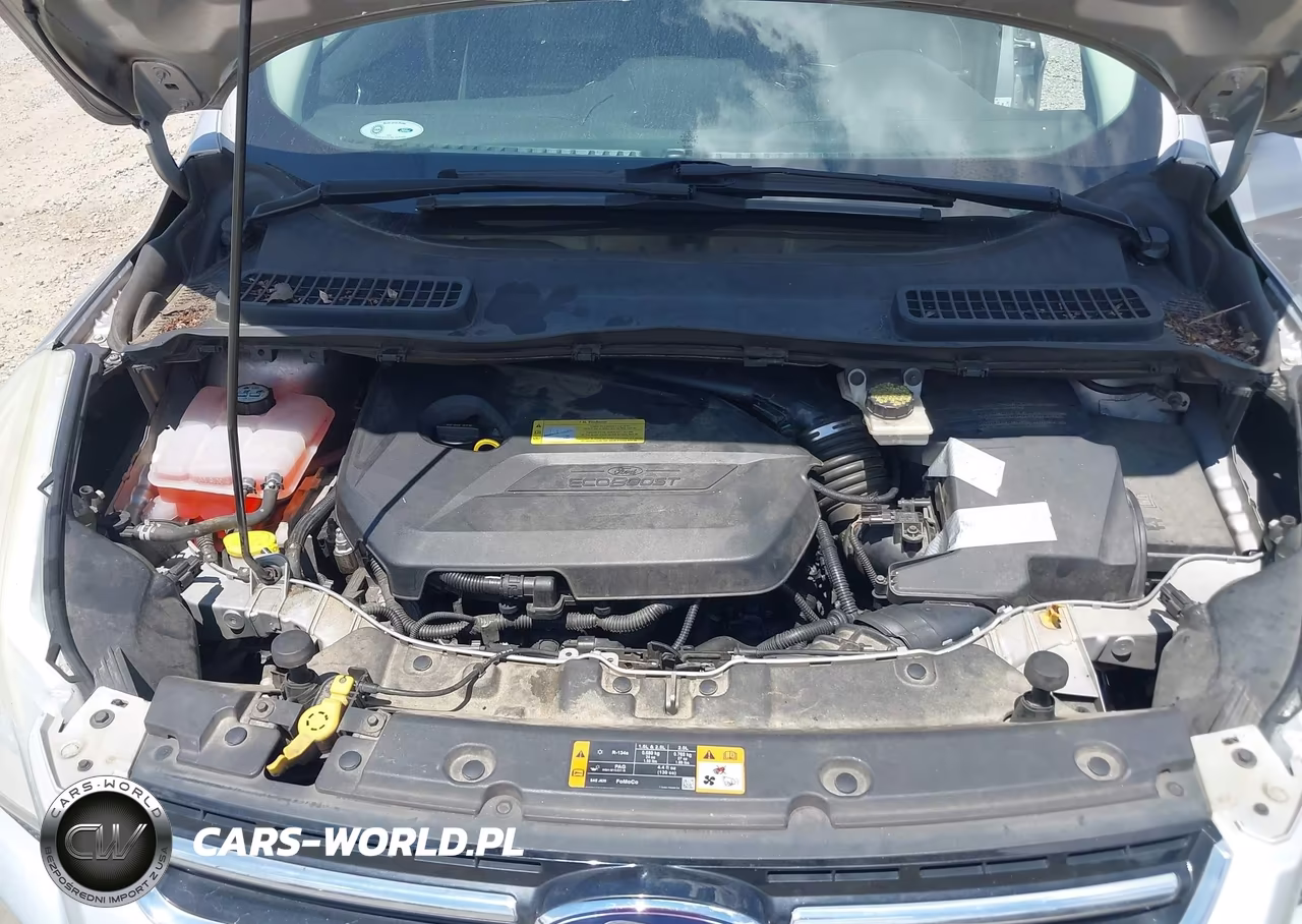 2013 Ford Escape Sel VIN:1FMCU0HX7DUC08292 - 10