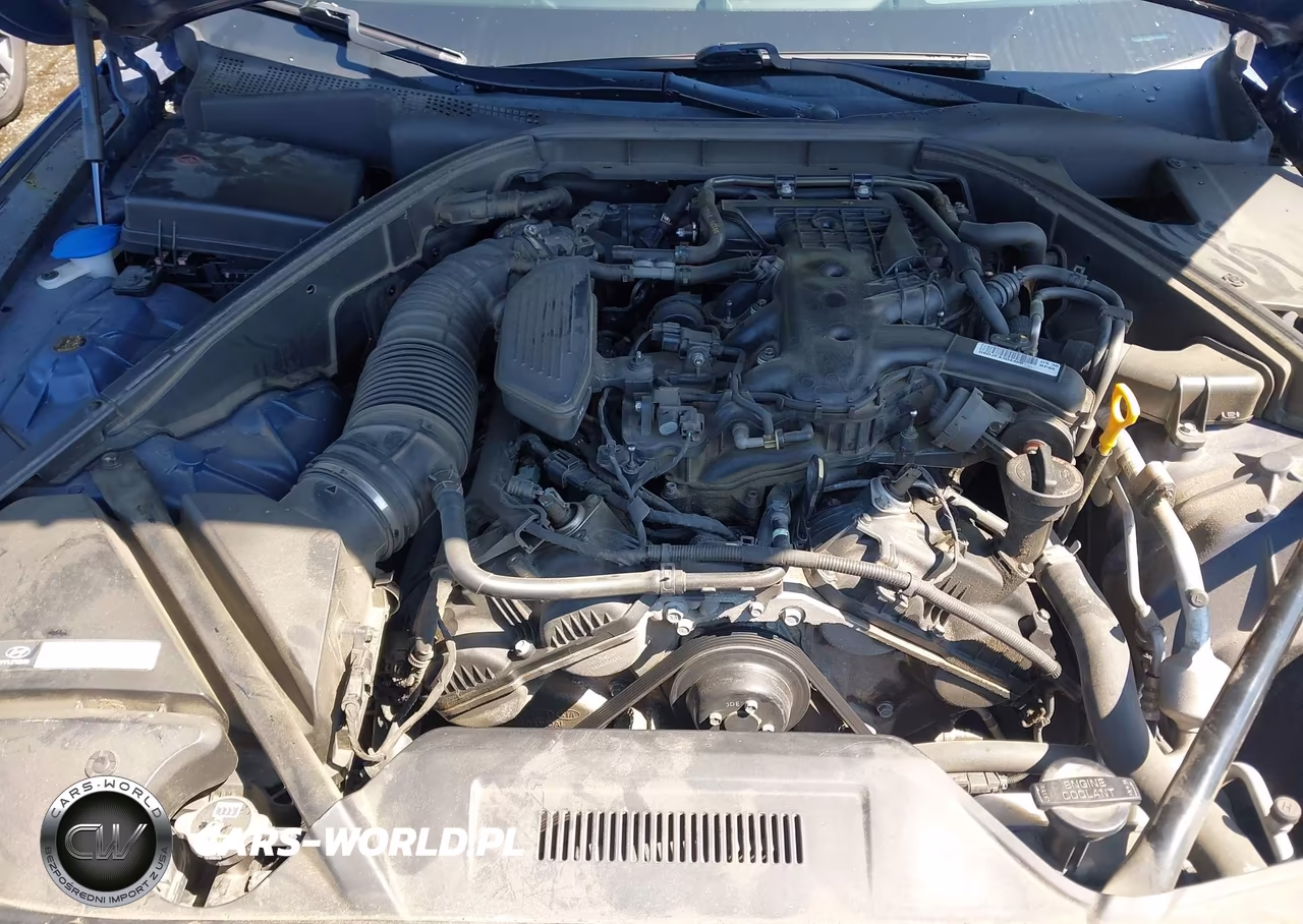 2016 Hyundai Genesis 3.8 VIN:KMHGN4JE3GU122108 - 10