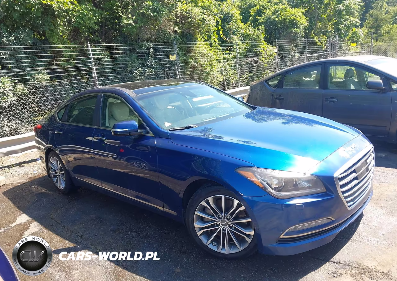 2016 Hyundai Genesis 3.8 VIN:KMHGN4JE3GU122108 - 13
