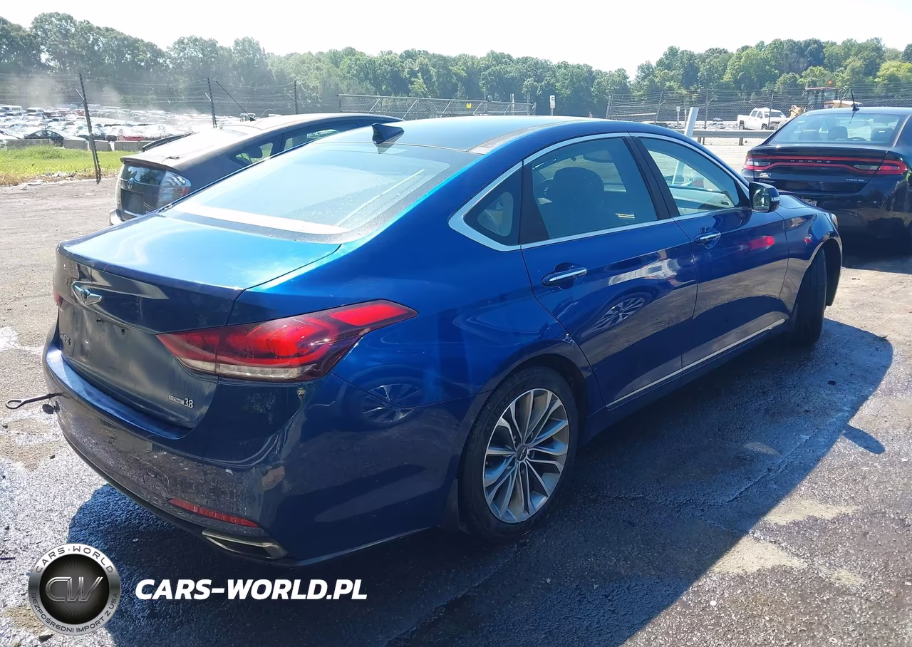 2016 Hyundai Genesis 3.8 VIN:KMHGN4JE3GU122108 - 4