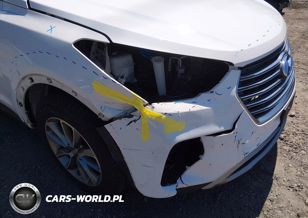 2017 Hyundai Santa Fe Se VIN:KM8SNDHF5HU254703 - 18