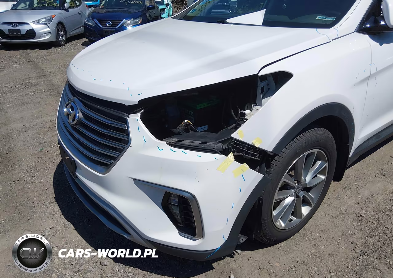 2017 Hyundai Santa Fe Se VIN:KM8SNDHF5HU254703 - 6