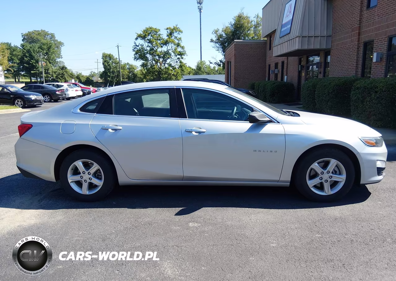 2020 Chevrolet Malibu Fwd 1Fl VIN:1G1ZC5ST6LF133603 - 12