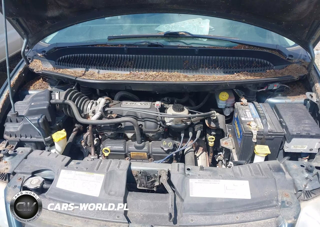 2006 Dodge Grand Caravan Sxt VIN:2D4GP44L56R810795 - 10