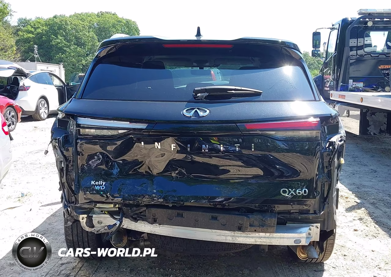 2025 Infiniti Qx60 Luxe Awd VIN:5N1AL1FS4SC358239 - 17
