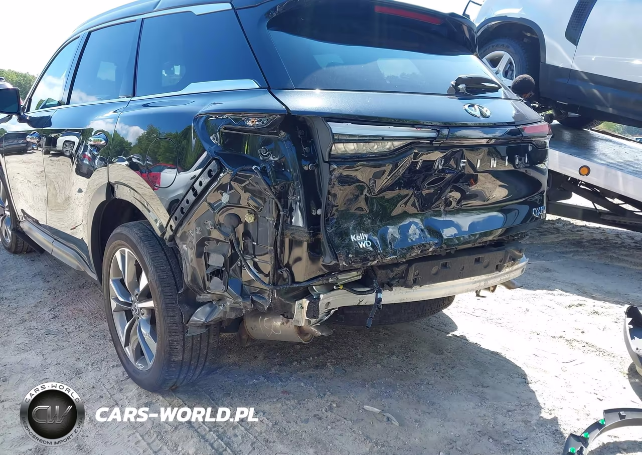 2025 Infiniti Qx60 Luxe Awd VIN:5N1AL1FS4SC358239 - 19
