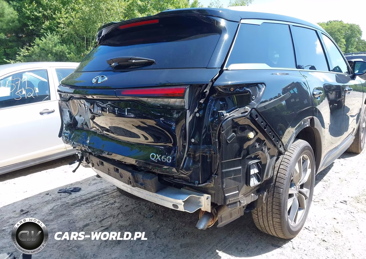 2025 Infiniti Qx60 Luxe Awd VIN:5N1AL1FS4SC358239 - 20