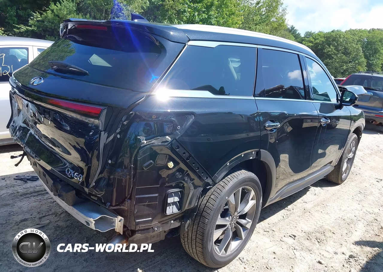 2025 Infiniti Qx60 Luxe Awd VIN:5N1AL1FS4SC358239 - 4