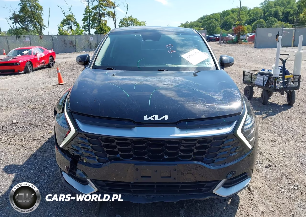 2024 Kia Sportage Ex VIN:5XYK33DF8RG149571 - 12