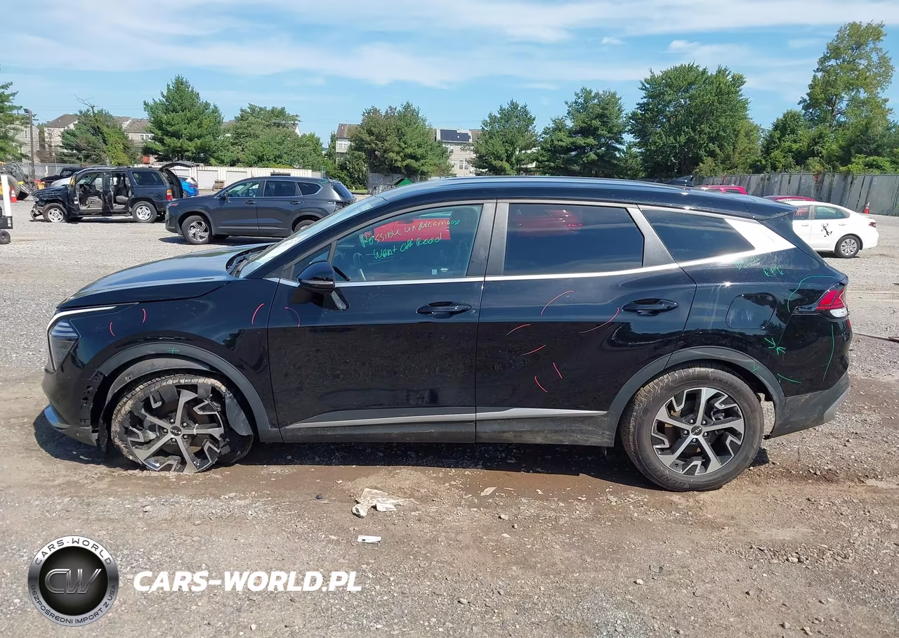 2024 Kia Sportage Ex VIN:5XYK33DF8RG149571 - 14
