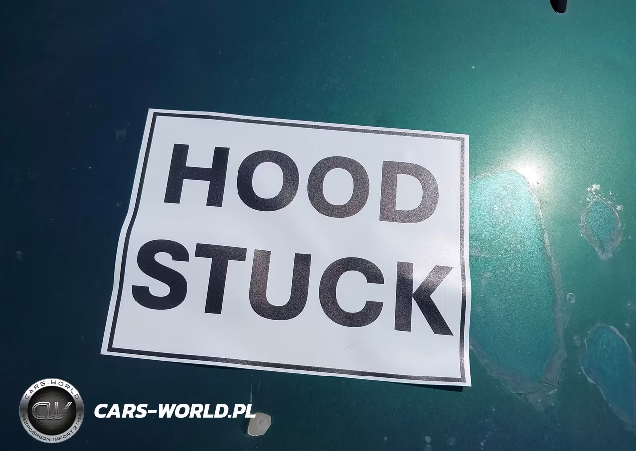 2002 Honda Civic Lx VIN:2HGES16502H541882 - 10