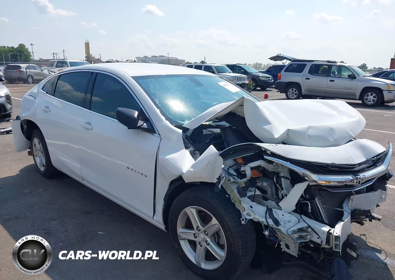 2019 Chevrolet Malibu 1Fl VIN:1G1ZC5ST3KF105501 - 1