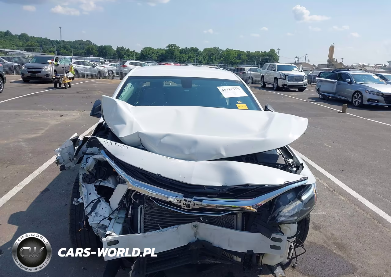 2019 Chevrolet Malibu 1Fl VIN:1G1ZC5ST3KF105501 - 13