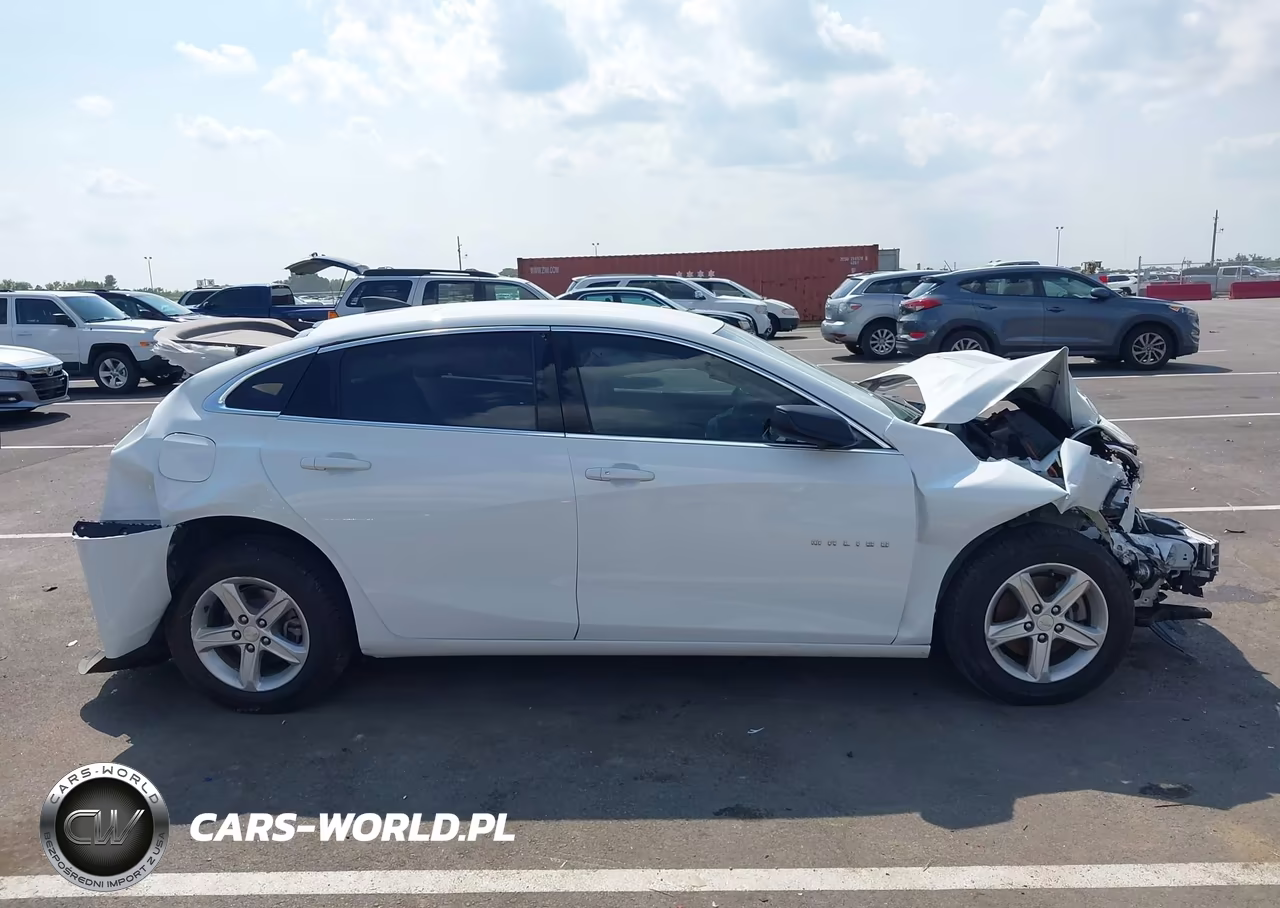 2019 Chevrolet Malibu 1Fl VIN:1G1ZC5ST3KF105501 - 14