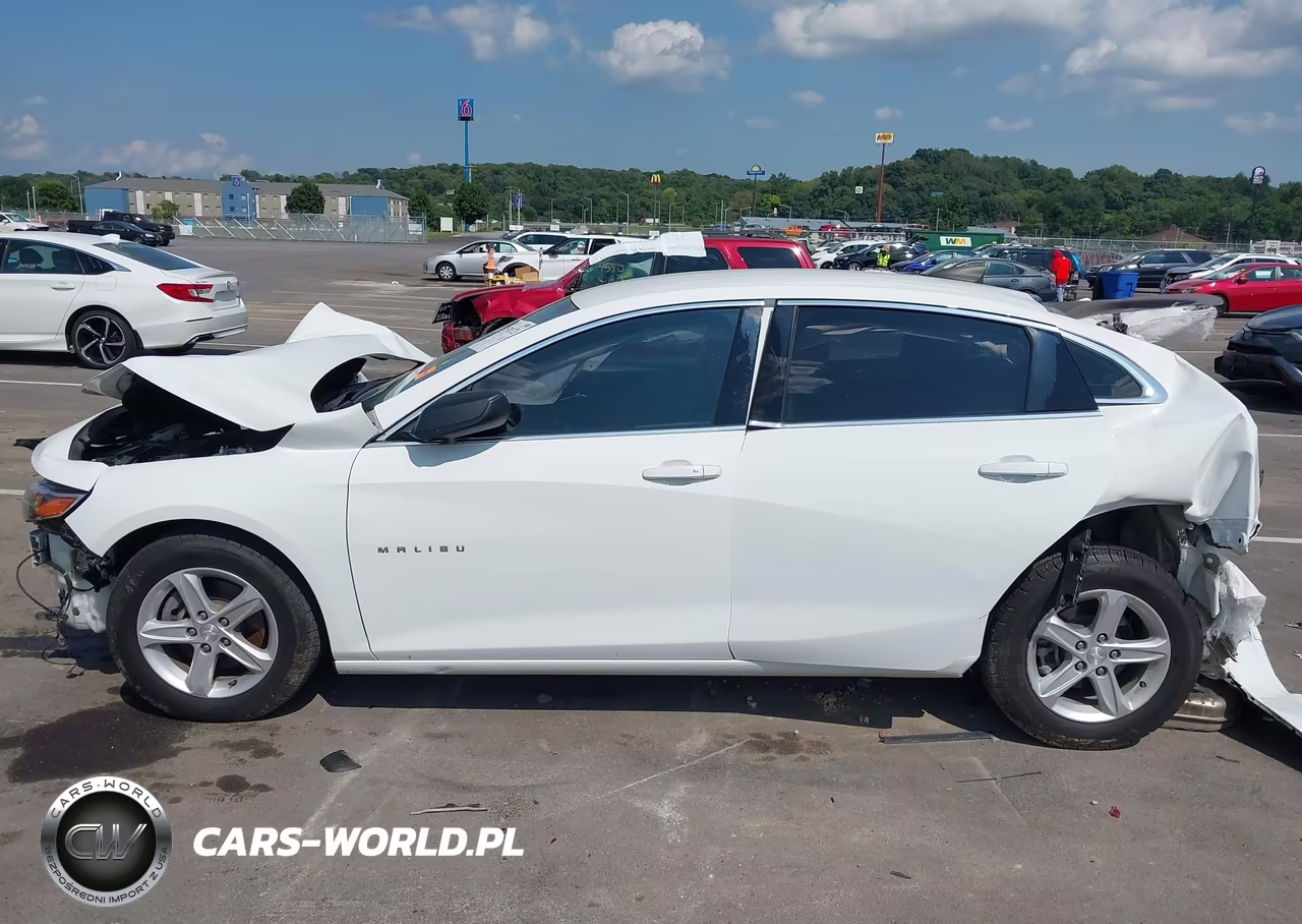 2019 Chevrolet Malibu 1Fl VIN:1G1ZC5ST3KF105501 - 15