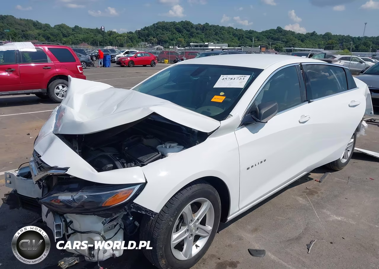 2019 Chevrolet Malibu 1Fl VIN:1G1ZC5ST3KF105501 - 2