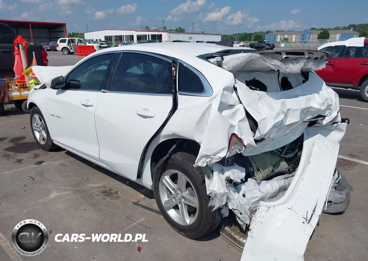 2019 Chevrolet Malibu 1Fl VIN:1G1ZC5ST3KF105501 - 3