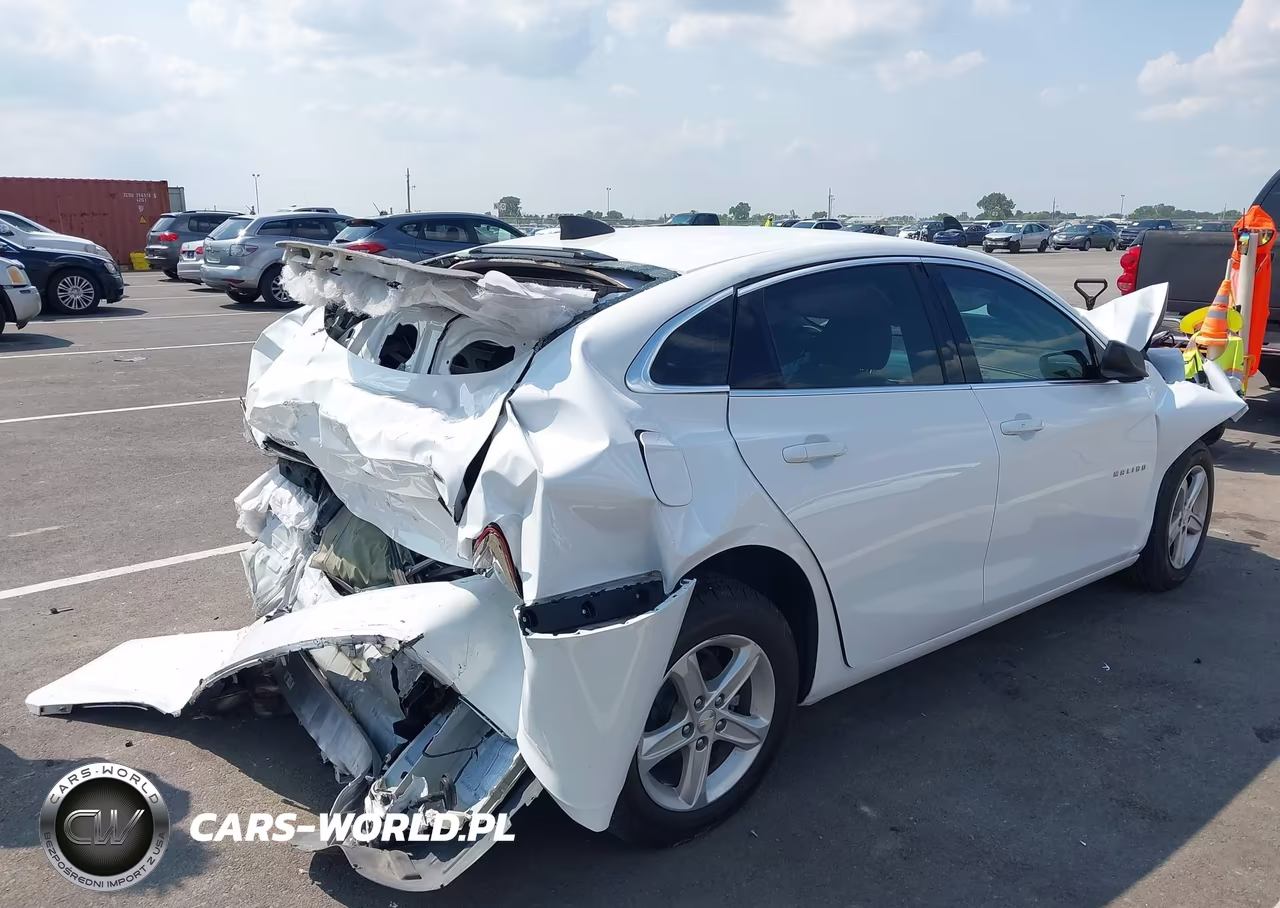 2019 Chevrolet Malibu 1Fl VIN:1G1ZC5ST3KF105501 - 4