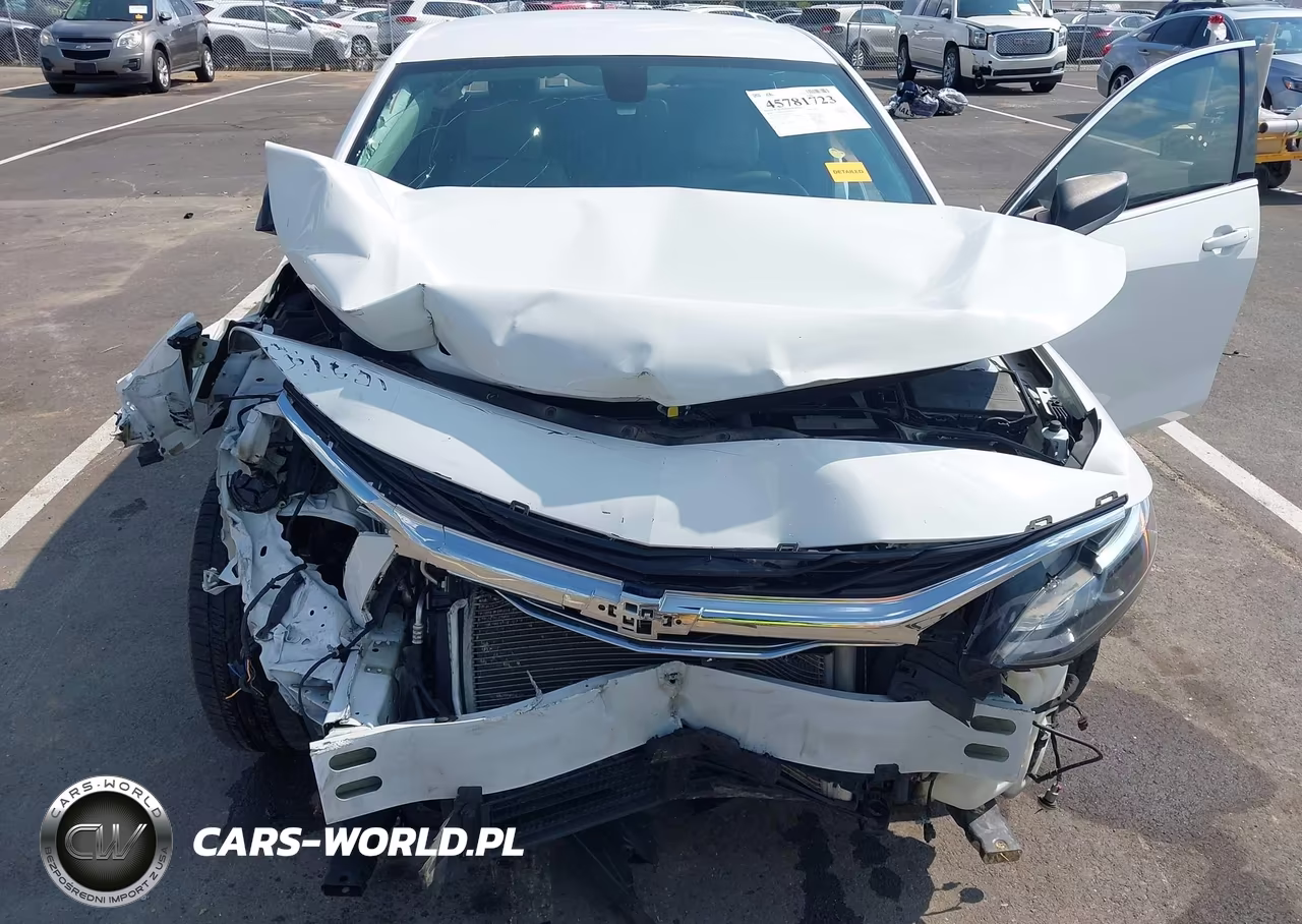 2019 Chevrolet Malibu 1Fl VIN:1G1ZC5ST3KF105501 - 6