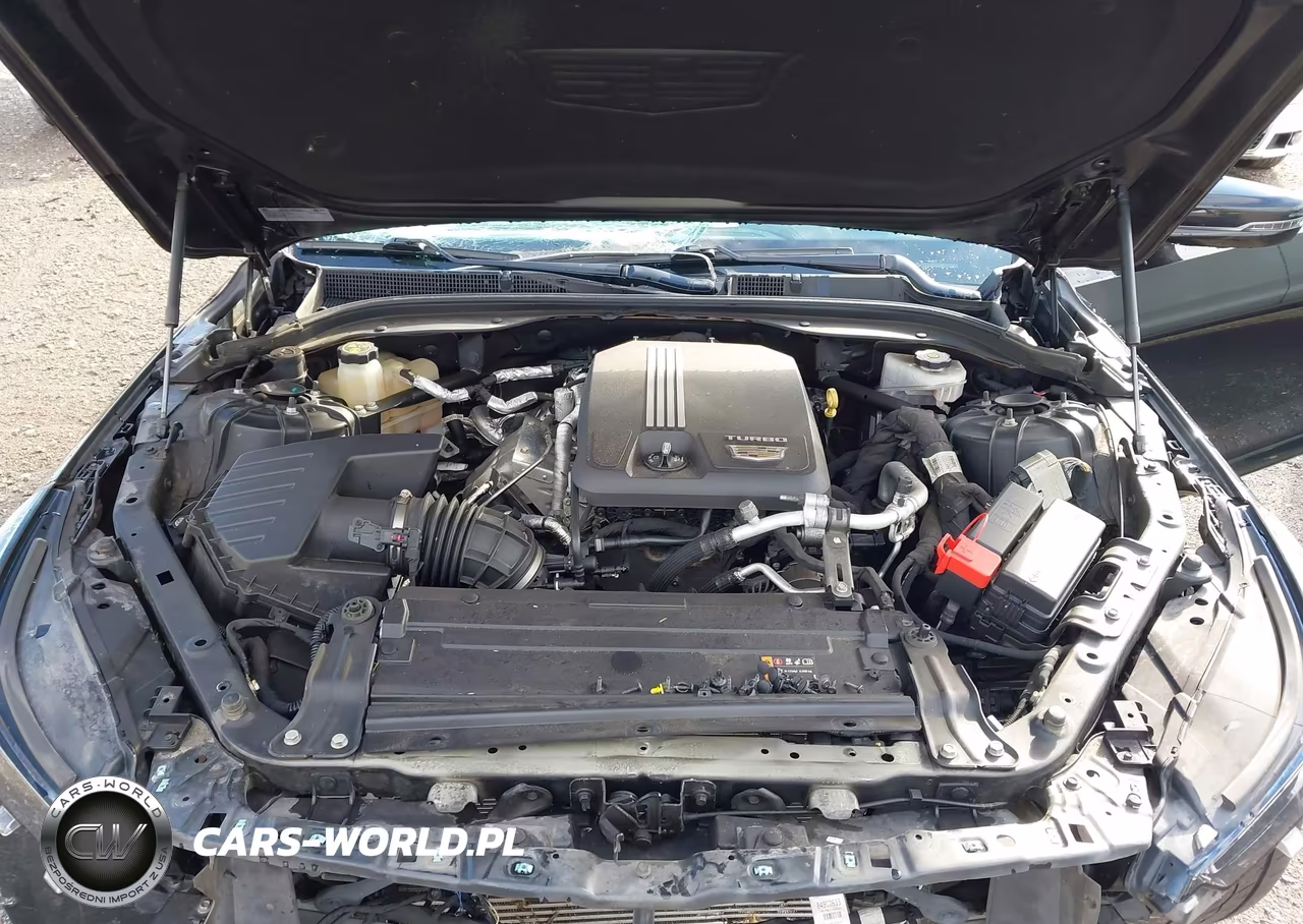 2021 Cadillac Ct5 Premium Luxury VIN:1G6DT5RK5M0113087 - 10