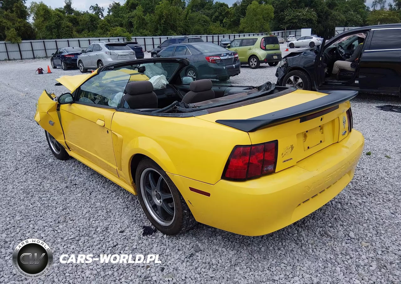 1999 Ford Mustang VIN:1FAFP4449XF149241 - 3