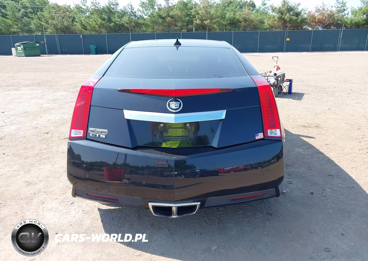2013 Cadillac Cts Standard VIN:1G6DC1E31D0175321 - 17