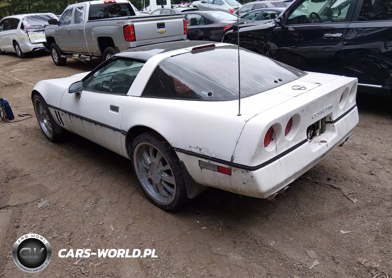 1990 Chevrolet Corvette VIN:1G1YY2382L5110685 - 3