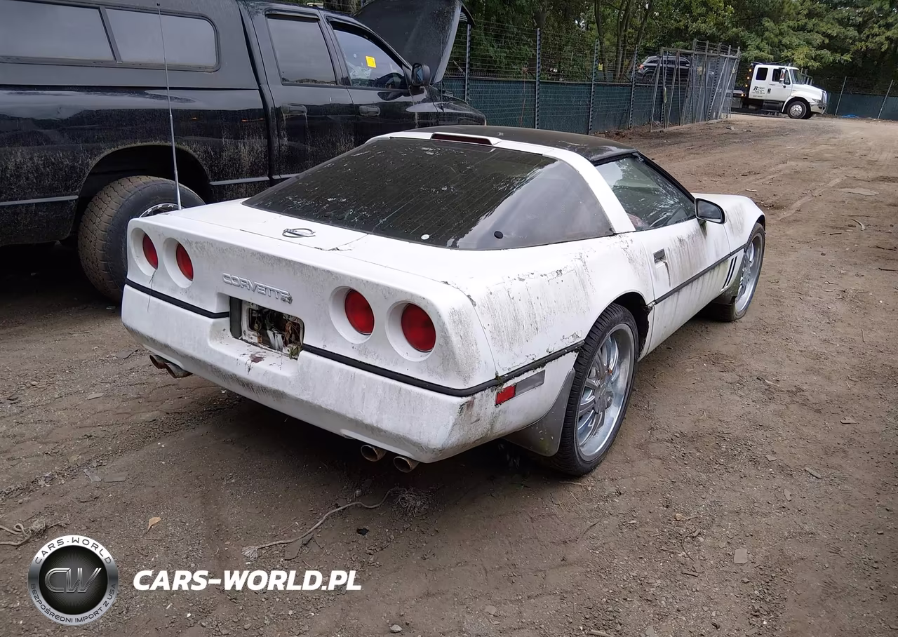 1990 Chevrolet Corvette VIN:1G1YY2382L5110685 - 4