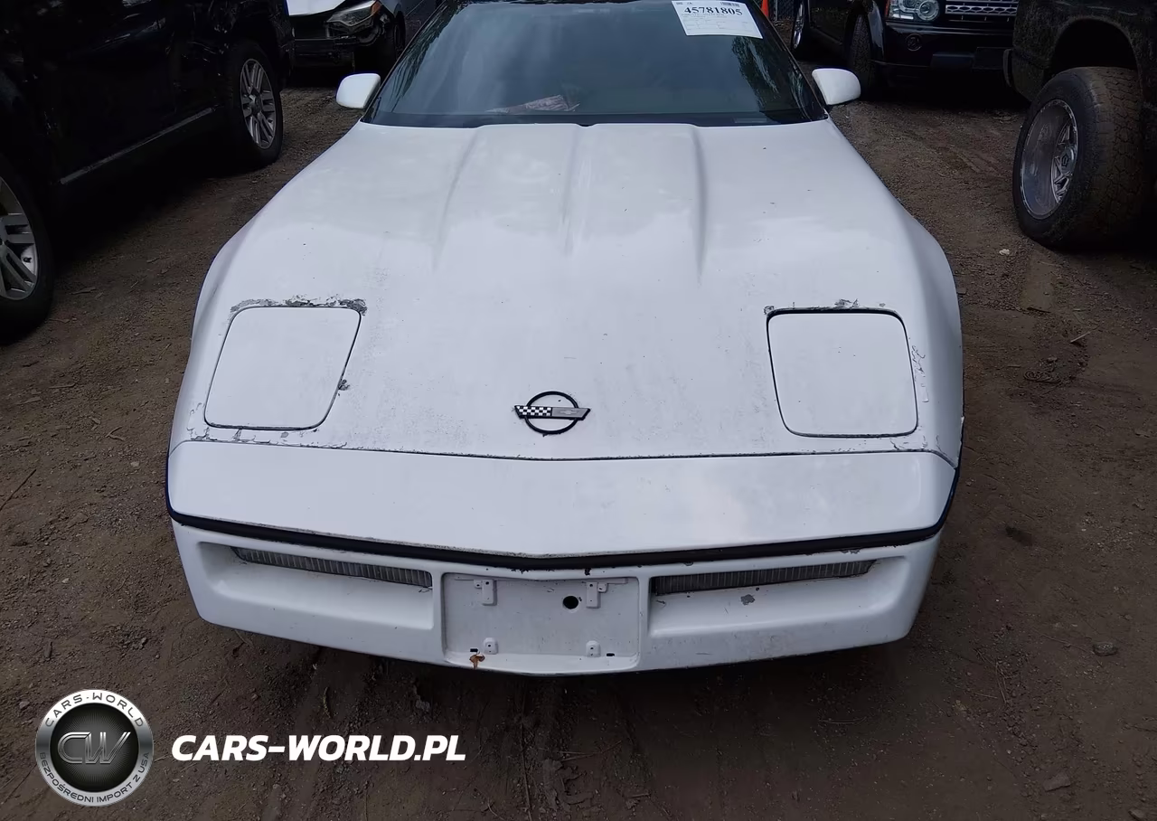1990 Chevrolet Corvette VIN:1G1YY2382L5110685 - 6