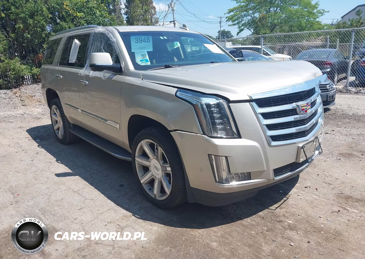 2017 Cadillac Escalade Luxury VIN:1GYS4BKJ0HR211053 - 1