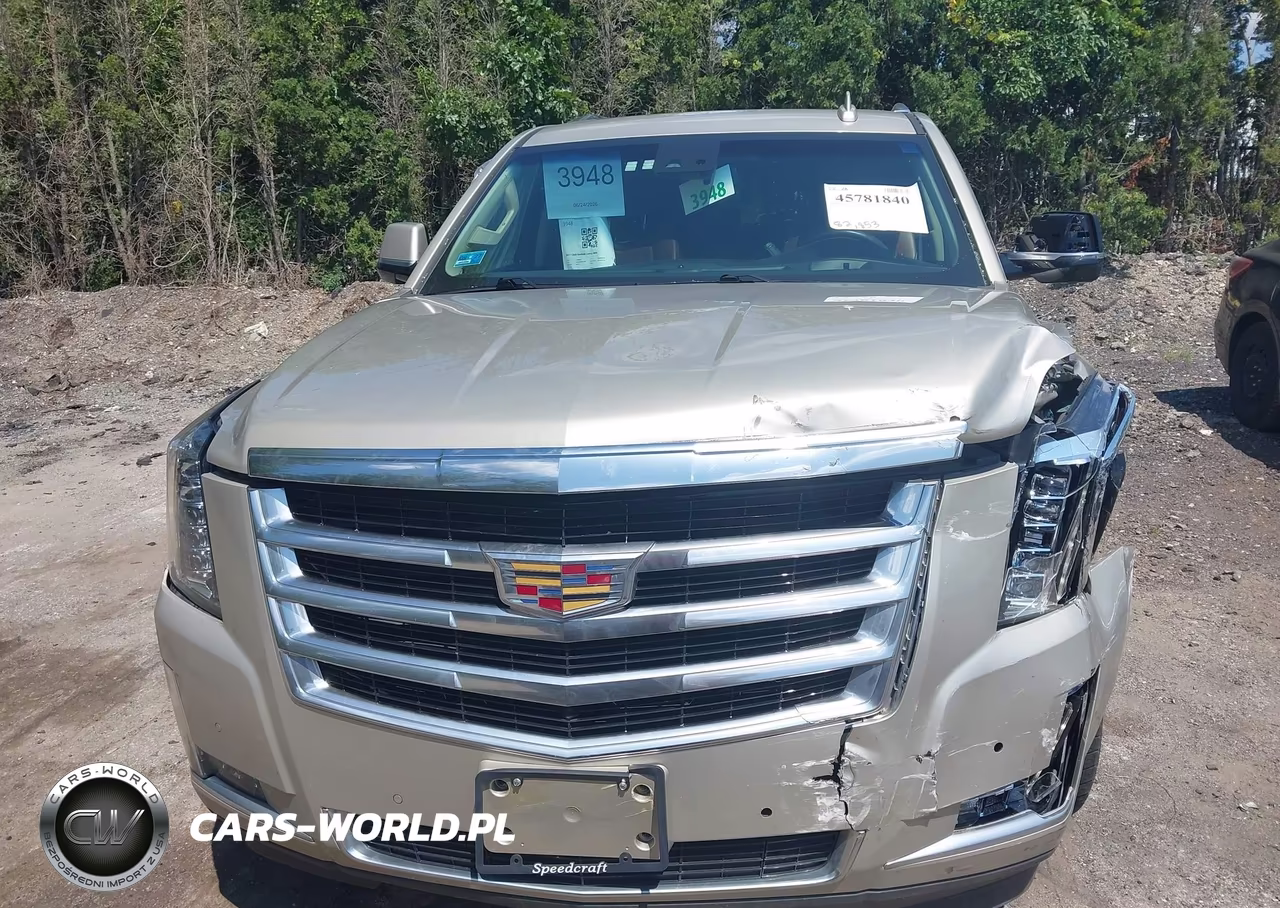 2017 Cadillac Escalade Luxury VIN:1GYS4BKJ0HR211053 - 13