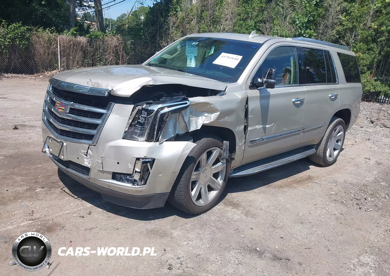 2017 Cadillac Escalade Luxury VIN:1GYS4BKJ0HR211053 - 2
