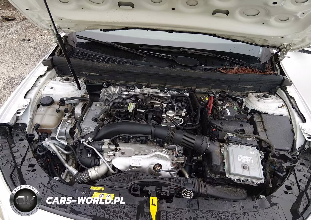 2023 Mercedes-Benz Glb 250 4Matic VIN:W1N4M4HB8PW307578 - 10