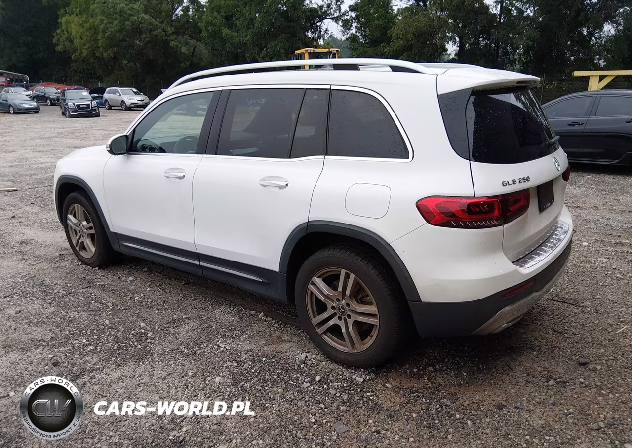 2023 Mercedes-Benz Glb 250 4Matic VIN:W1N4M4HB8PW307578 - 3