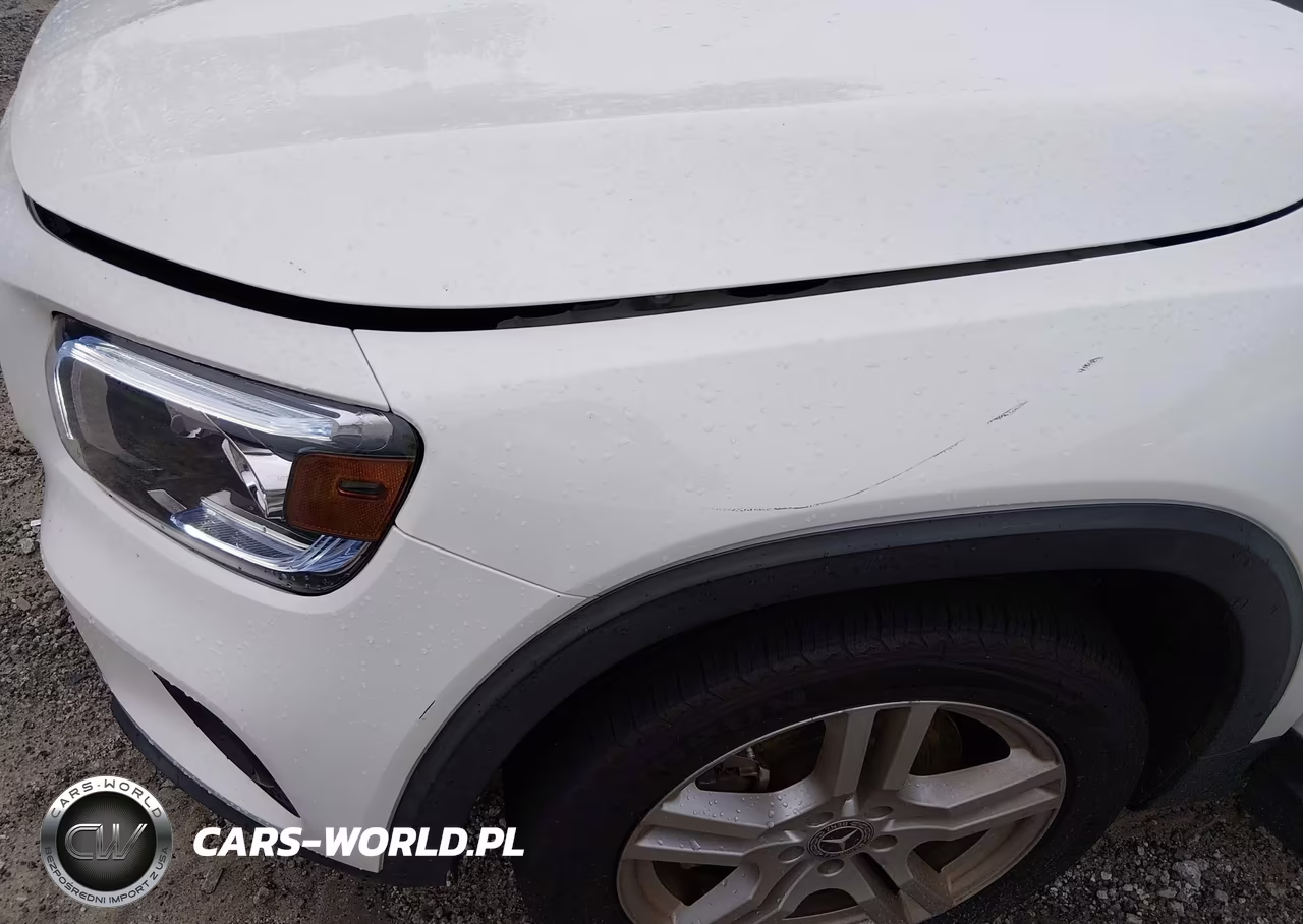 2023 Mercedes-Benz Glb 250 4Matic VIN:W1N4M4HB8PW307578 - 6
